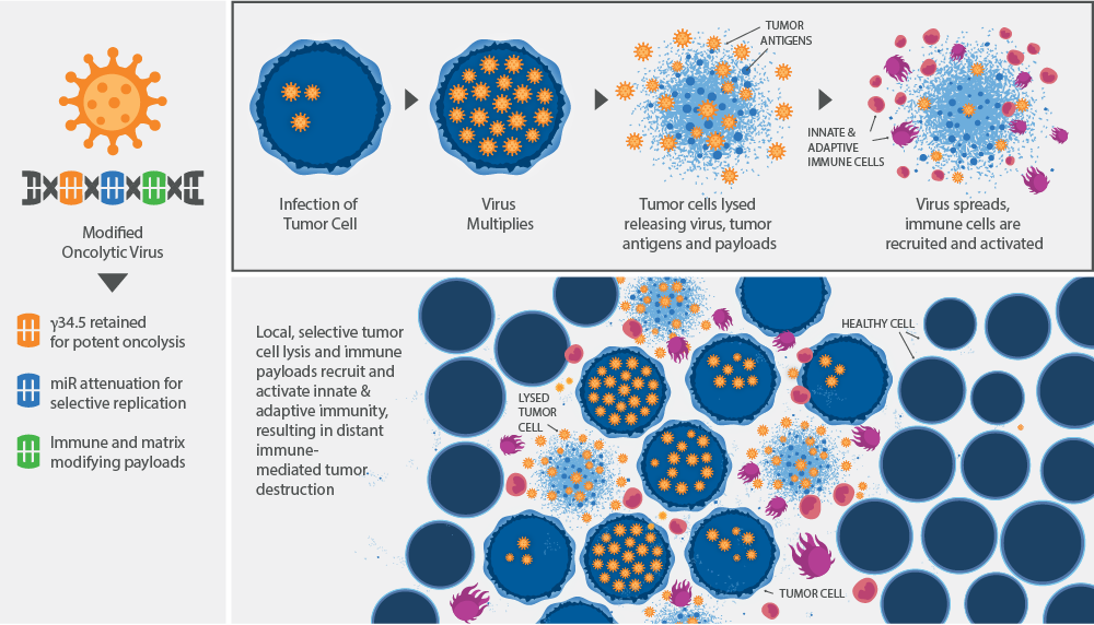 Oncolytic+Illo